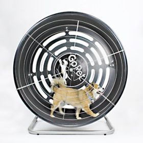 GoPet Tread Wheel For Small Dogs