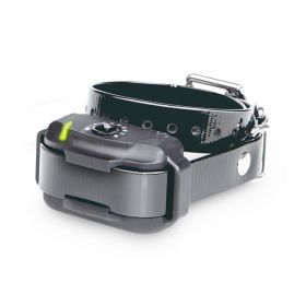 Dogtra In-ground E-Fence 3500 is an effective underground containment system (Option: Ground Dog Fence Collar)