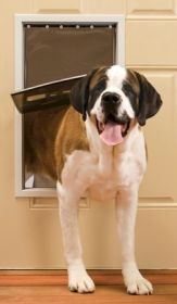 PetSafe Freedom Pet Door For Installing In Your Door Instruction See Video  In Product Description (Option: Extra Large)