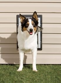 PetSafe For Your Wall Dog Door (Option: Medium)