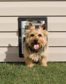 PetSafe For Your Wall Dog Door (Option: Small)